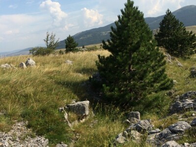 Ličke planine - više od sunca i mora Ličke planine - više od sunca i mora