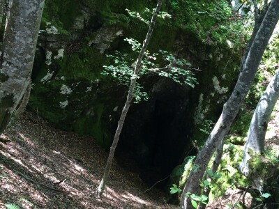 Ulaz u špilju duboko u šumi Ulaz u špilju duboko u šumi