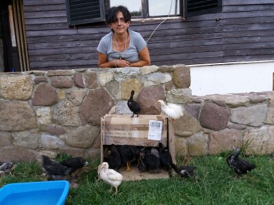 Lika - OPG Željko Pavelić