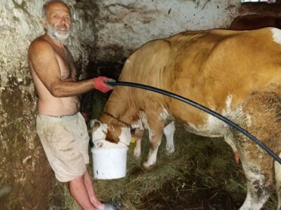 Lika - OPG Željko Pavelić