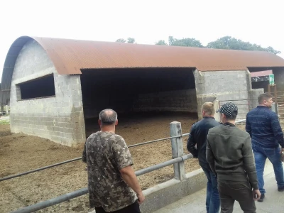 Limousin Italija