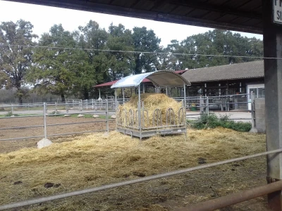 Limousin Italija