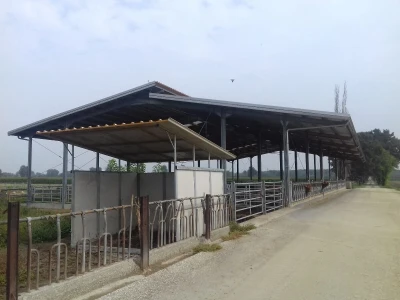 Limousin Italija