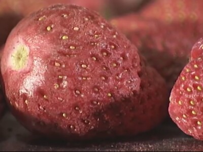 Liofilizatori nove generacije