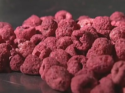 Liofilizatori nove generacije