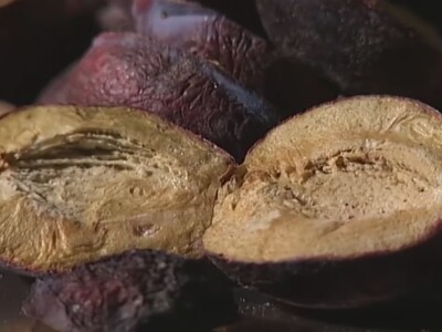 Liofilizatori nove generacije