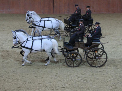 Dvoprezi s vozačima Josipom Zirnom i Antunom Živićem
