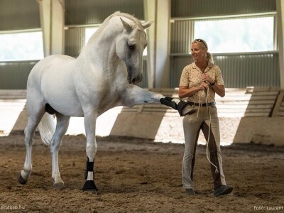 Lipicanci Edit Kappel