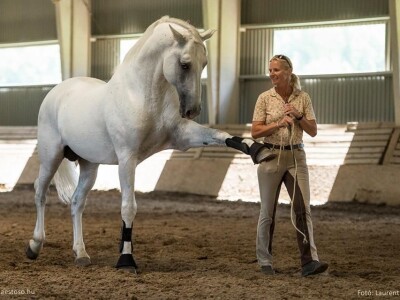 Lipicanci Edit Kappel