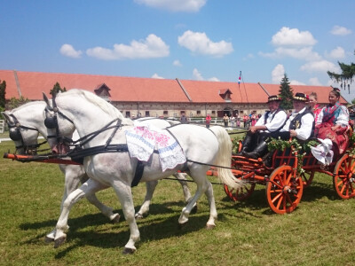 I djevojke uživaju u vožnji