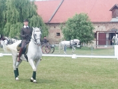 Mađarska trenerica i jahačica Edit Kappel