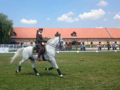 Državna ergela Lipik