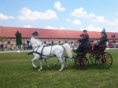 Državna ergela Lipik
