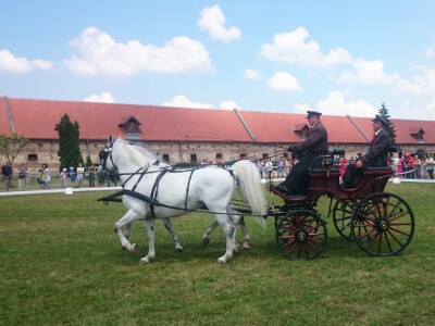Državna ergela Lipik
