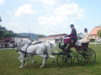 Državna ergela Lipik