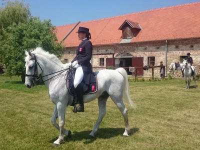 Lipičanka i lipicanka