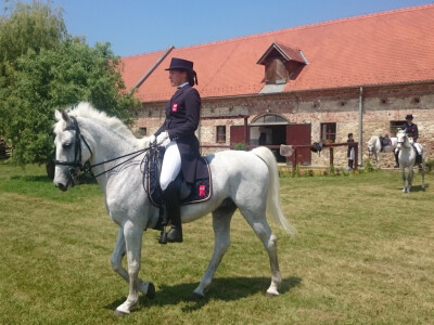 Lipičanka i lipicanka