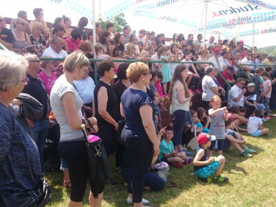 Lipični oduševljeni konjičkom predstavom