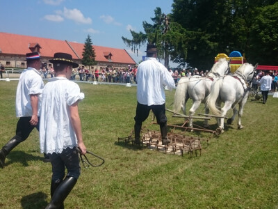 Tako se nekada radilo u polju