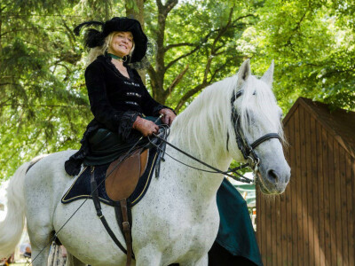 Lipicanska barokna raskoš