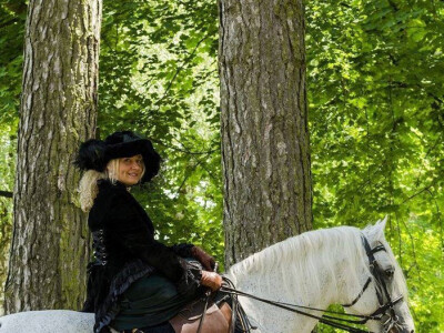 Lipicanska barokna raskoš