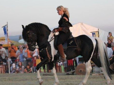 Lipicanska barokna raskoš