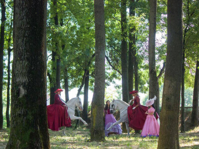 Lipicanska barokna raskoš