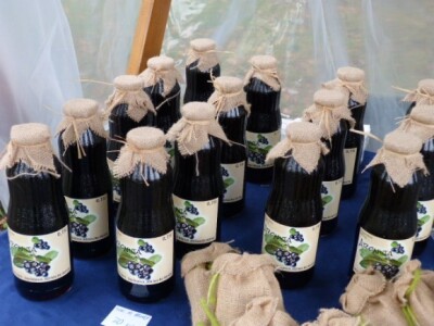 Proizvodi od aronije