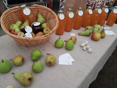 Proizvodi Zdrave logike