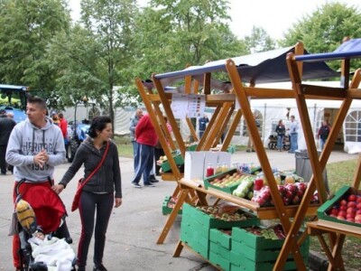Jabuke na Danu voćara u Lipiku