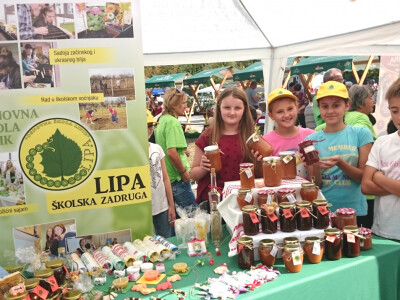 Školska zadruga Lipa