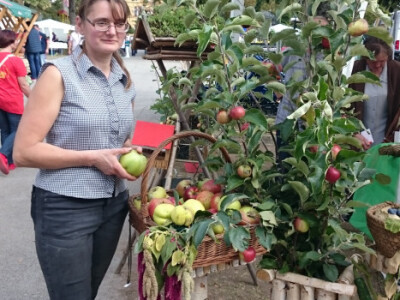 Katarina Pop uzgaja stare sorte jabuka