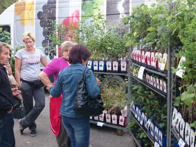 Izlagala je i zagrebačka Fragarija