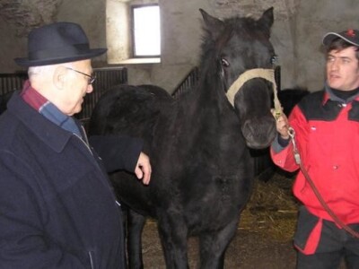 Primopredaja ždrebadi