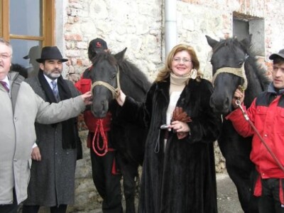 Primopredaja ždrebadi