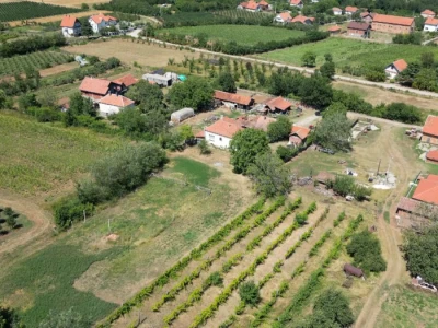 Lipska ovca