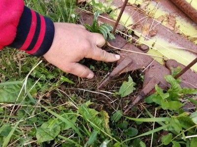 Priprema kombajna za žetvu