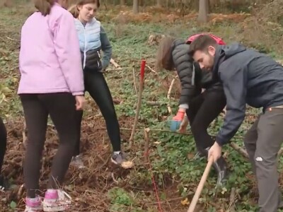 Listopadne šume na obroncima Povlena Listopadne šume na obroncima Povlena