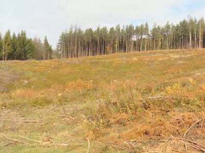 Listopadne šume na obroncima Povlena Listopadne šume na obroncima Povlena