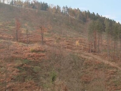 Listopadne šume na obroncima Povlena Listopadne šume na obroncima Povlena