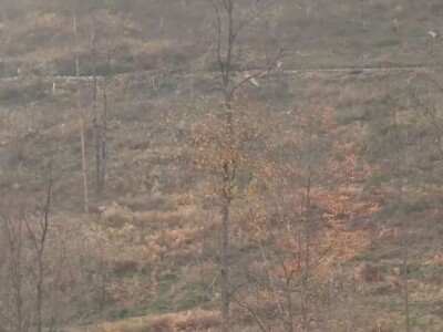 Listopadne šume na obroncima Povlena Listopadne šume na obroncima Povlena