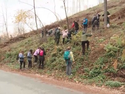 Listopadne šume na obroncima Povlena Listopadne šume na obroncima Povlena
