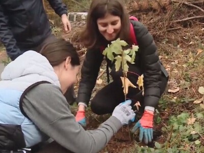 Listopadne šume na obroncima Povlena Listopadne šume na obroncima Povlena