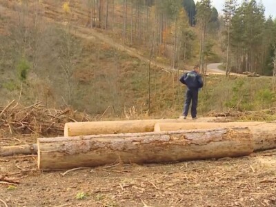 Listopadne šume na obroncima Povlena Listopadne šume na obroncima Povlena