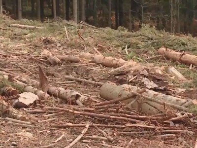 Listopadne šume na obroncima Povlena Listopadne šume na obroncima Povlena