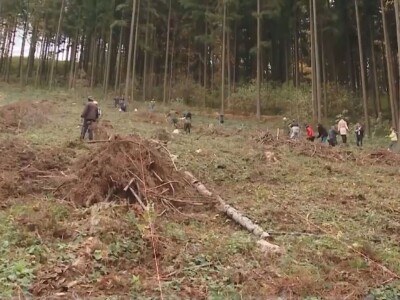 Listopadne šume na obroncima Povlena Listopadne šume na obroncima Povlena