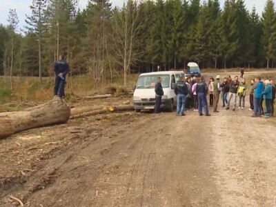 Listopadne šume na obroncima Povlena Listopadne šume na obroncima Povlena