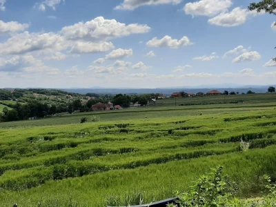 Livade i pašnjaci