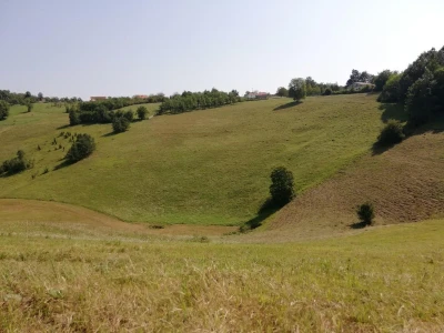 Livade i pašnjaci