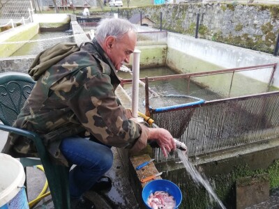 Marko Livajušić: Od hobija do najvećeg ribogojilišta u Gornjem Vakufu- Uskoplju Marko Livajušić: Od hobija do najvećeg ribogojilišta u Gornjem Vakufu- Uskoplju